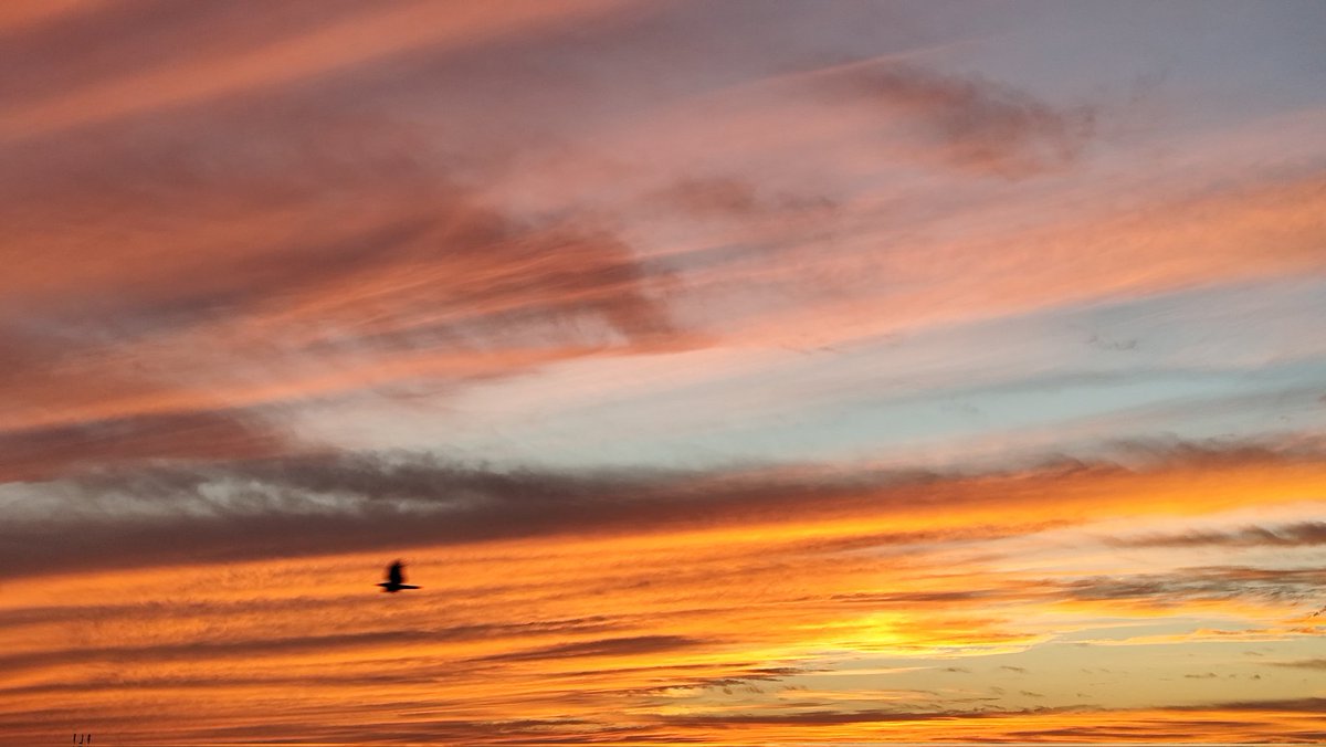 チョビ夕 80's City pop】FULLplaylist心が弾む最高にシティーポップなドライブ