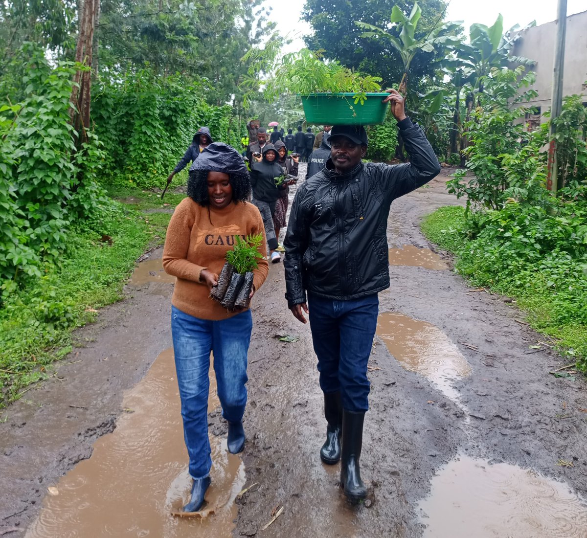 YouthMusanze's tweet photo. Urubyiruko rwabakorerabushake Muri @MusanzeDistrict kubufatanyije na @Rwandapolice Ingabo n'abayobozi Munzego zitandukanye bari mugikorwa cyo gutera Ibiti bisaga ibihumbi 8000.
N'igikorwa kiri Kubera Mumurenge wa Gacaca, akagali ka Gakoro umudugudu wa Gahama. https://t.co/BLEVqX2K9d