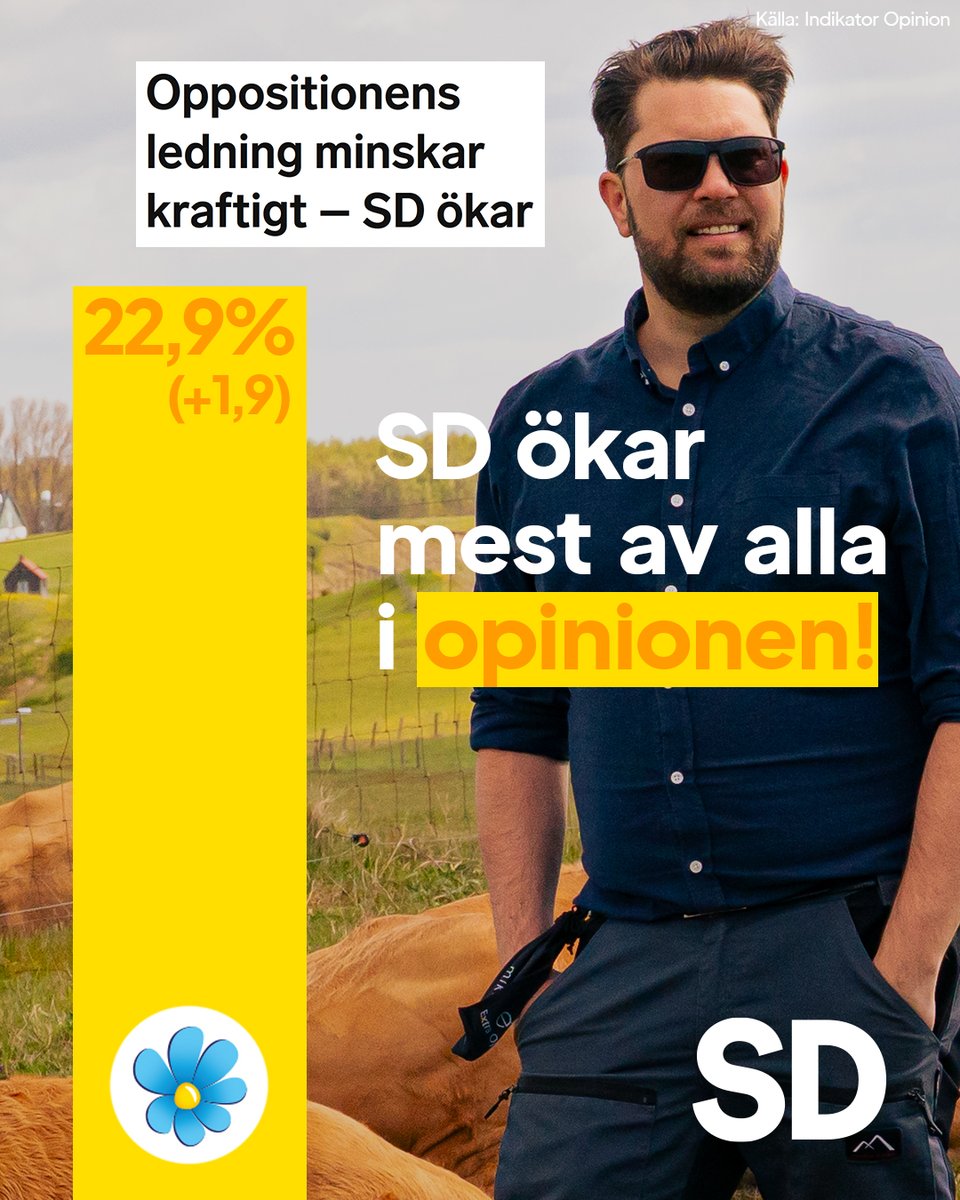 Sverigedemokraterna tweet media