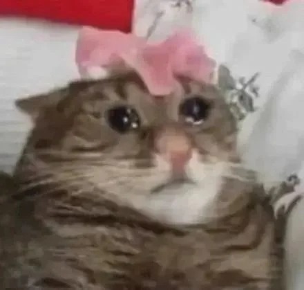 SafePal 中文 tweet media