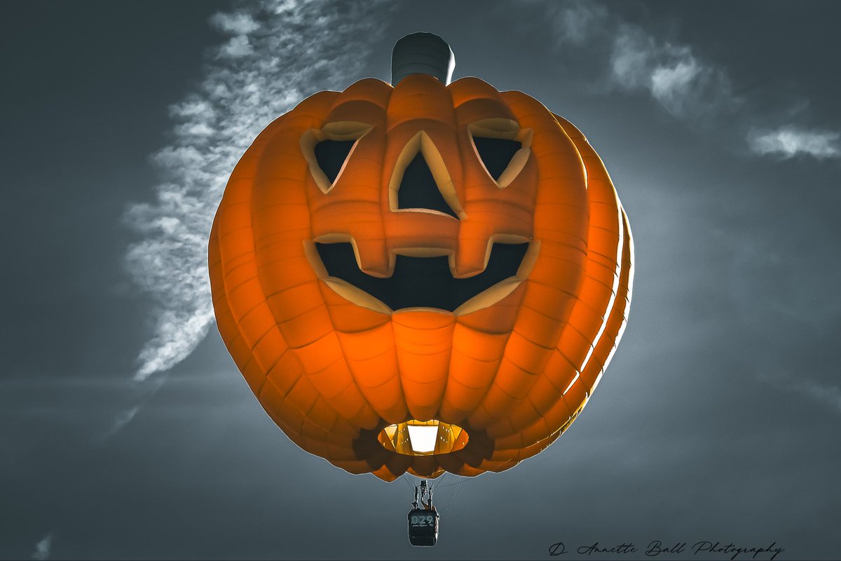 objetsdot's tweet image. We need more photography on 𝕏!📸

If you agree, post a picture!