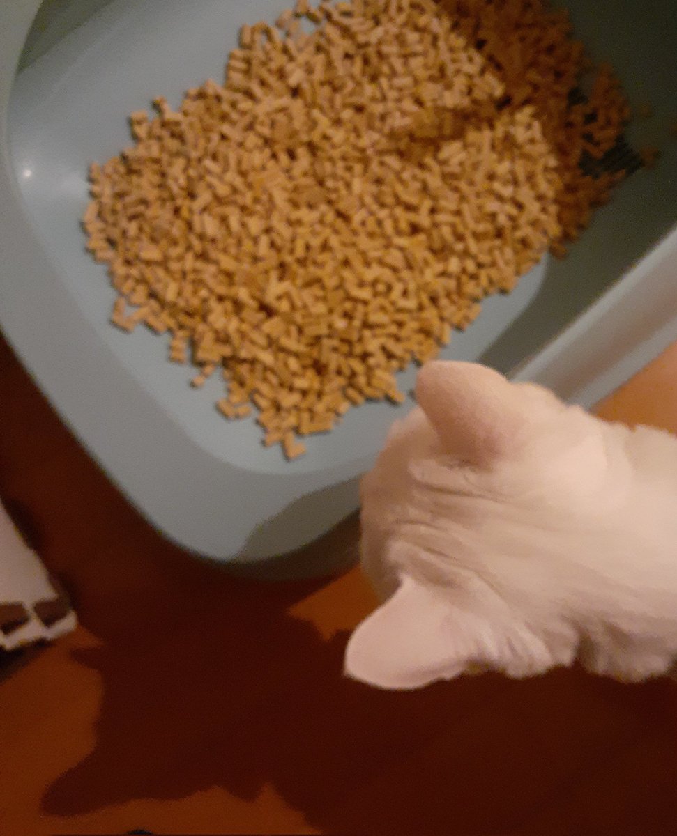 はるるん はるるん (@RNPrJ9xfX3PSoaA) / Posts / X