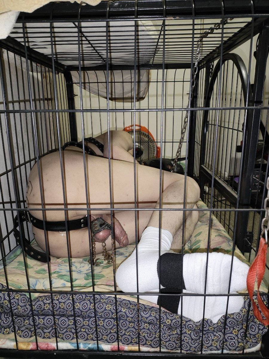 哪位在北京的大佬有关人犬的笼子？我的小狗子要试一下，好知道哪个尺寸合适。