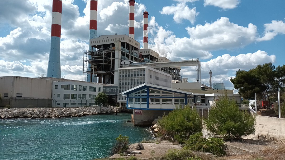 Teddy (@teddypwet) on Twitter photo 