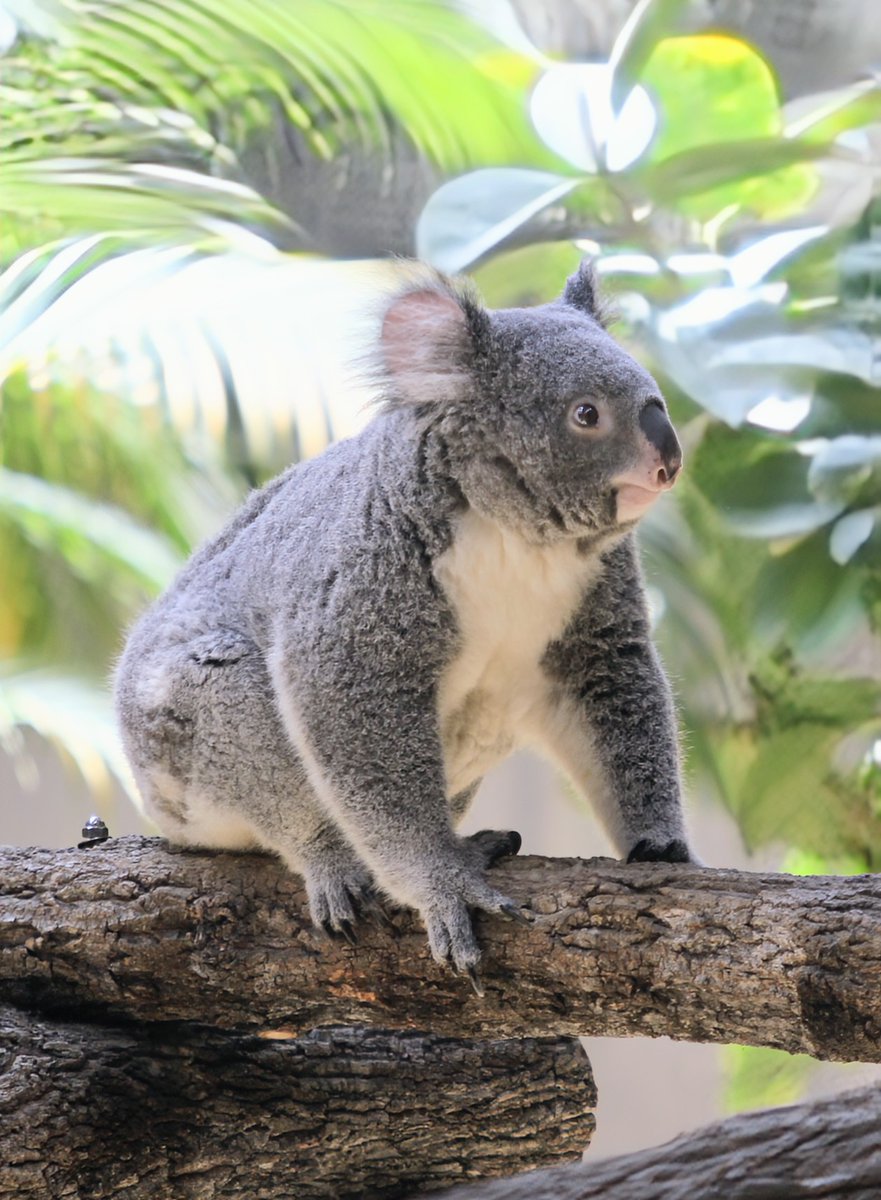 かりん (@karin48_73) / Posts / X