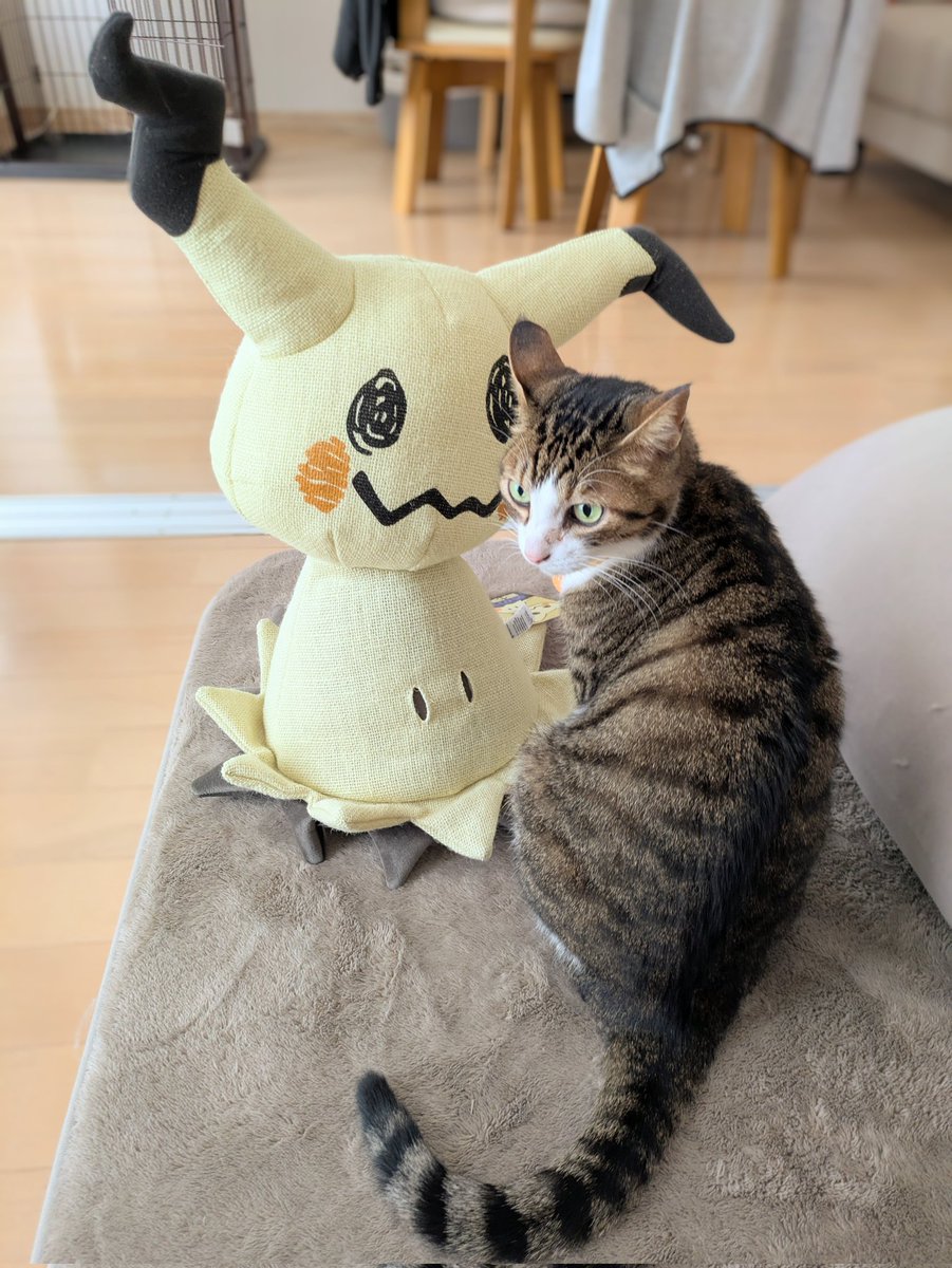 シズ (@shizu_shigoto) / Posts / X