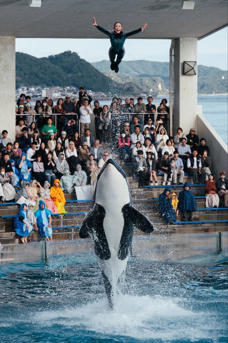 と〜た (@xdog_tohta) / Posts / X