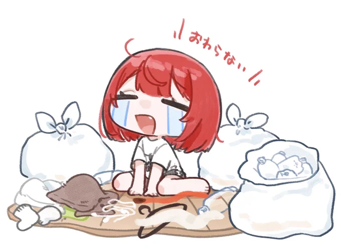 【お仕事】 緋音みうみ様のお片付けイラストを担当させていただきました! ハフアニおめでとうございます