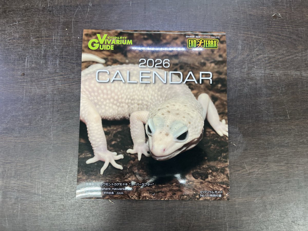 ひらめ　ページ 鮃狂（フラットジャンキー）ヒラメタルZ(ルアー)｜DAIWA