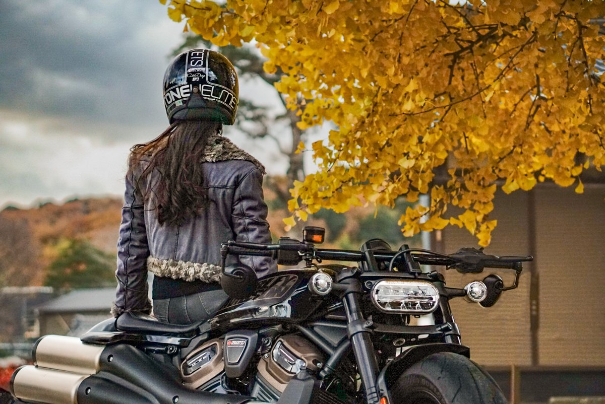 ｶｲｼｬｲﾝいちこ (@ca329ino) / Posts / X