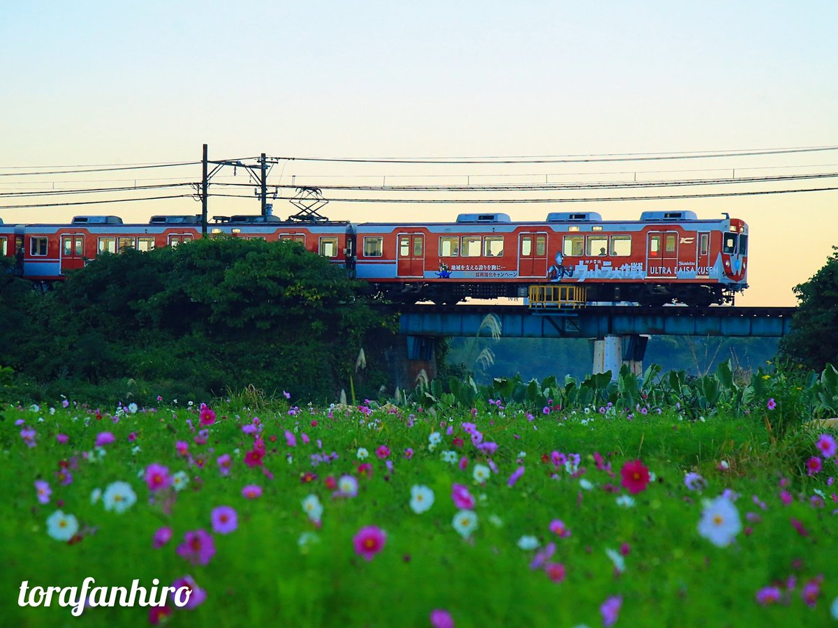 ぴろぴろりんさん専用 くるりんさん専用 くるりんさん専用 ZX DAMPER