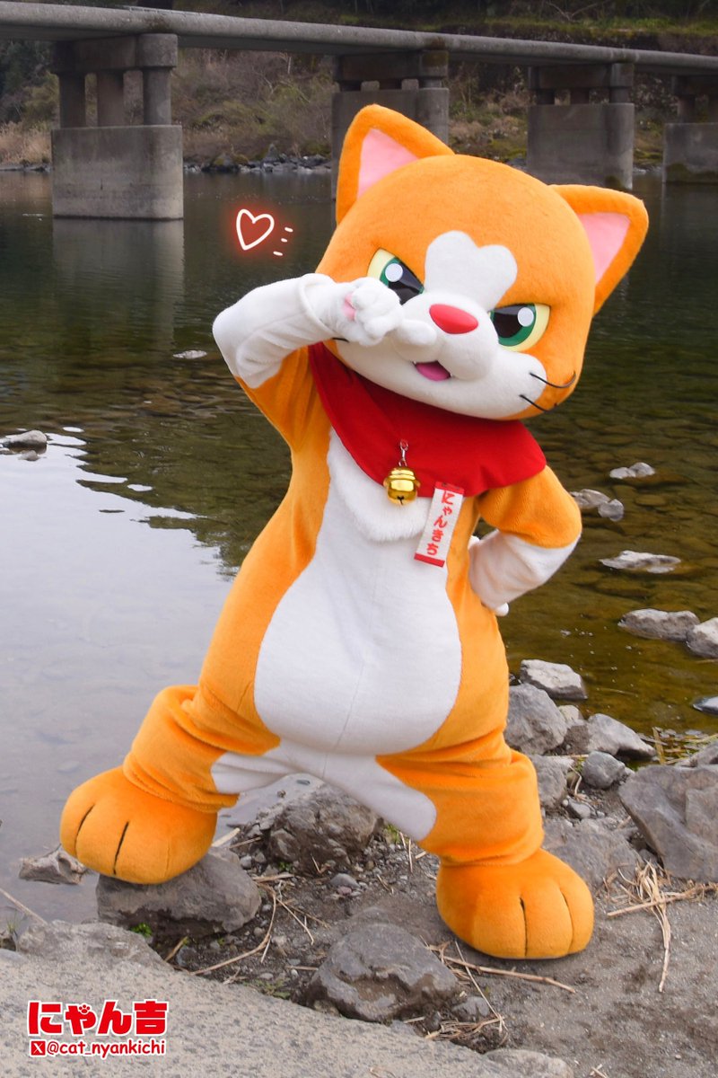 にゃん吉【公式】Nyankichi (@cat_nyankichi) / Posts / X