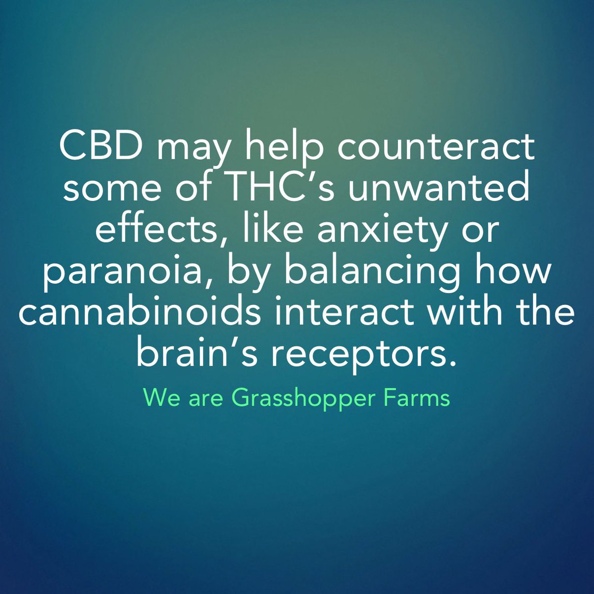 willwbowden's tweet image. CBD may help counteract some of THC’s unwanted effects, like anxiety or paranoia, by balancing how cannabinoids interact with the brain’s receptors. #CannabisEducation #CBDInsights

We are Grasshopper Farms
