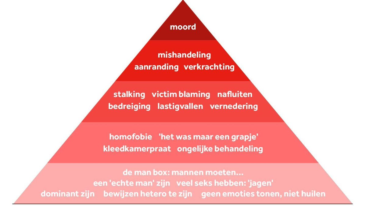 Als iemand van de SGP of het CDA dit grapje over Amalia had gemaakt, hadden we bij BNNVARA talloze interviews gezien met hoogleraren genderstudies over stereotypering. De NOS had de piramide van gendergerelateerd geweld weer van stal gehaald, en bij VI hadden ze zich opgewonden