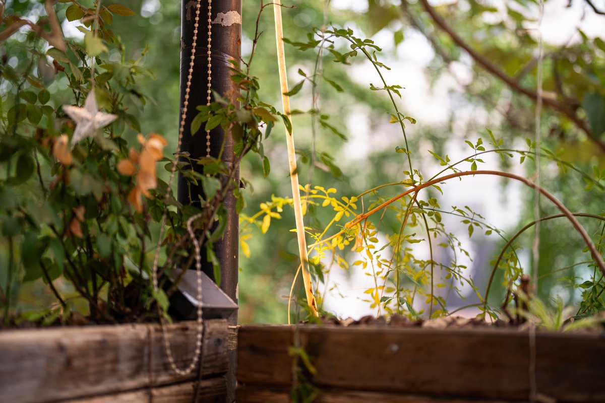 给你看看很多修猫