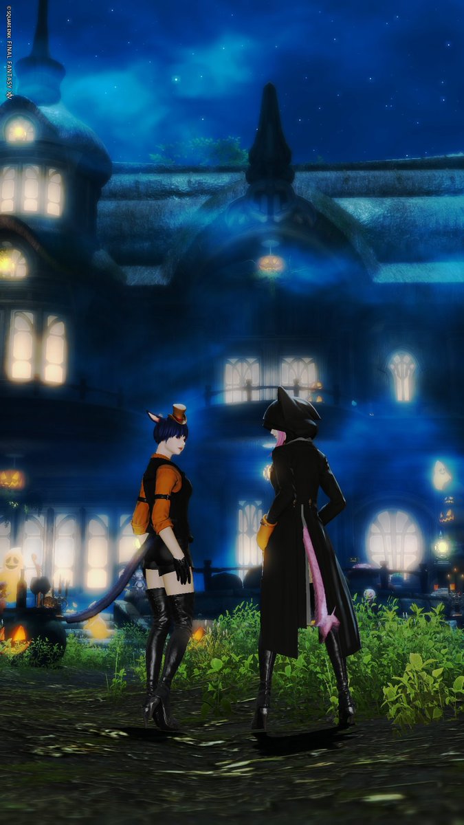 h_x_ff14's tweet image. シーズナルのエリアに行って、去年とは違う飾りをあれこれ見てまわったりも🍄
このところずっとDDに籠ってたからのんびり過ごせてよかった😊