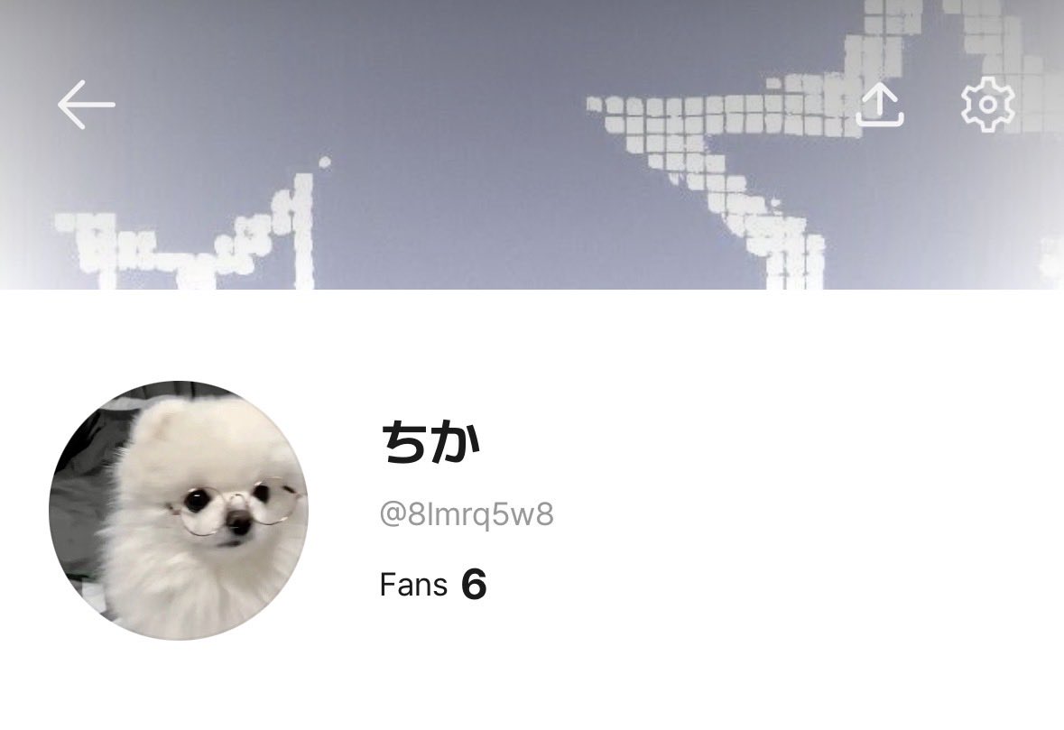 youuuu_love_'s tweet image. *❅·̩͙ 
 
      貴方の犬にしてください
     #仲良しキャンペーン 
 
       #spoon
 
         #拡散希望 
 
                    𖤐⸒⸒