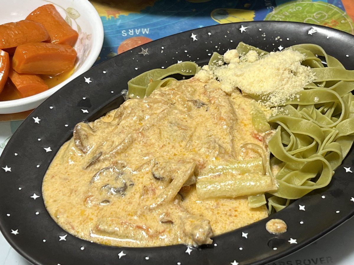 みーや☆ #宇宙機アクセサリー on X