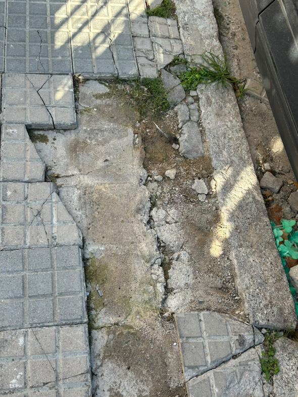 molletopina's tweet image. Bon dia, @JuntsMollet i @carme_olaria 

En aquest estat estat de troben els panots del carrer Sabadell número 27 aprox al barri de #SantaRosa

Podríeu avisar a l'ajuntament de Mollet?

Gràcies