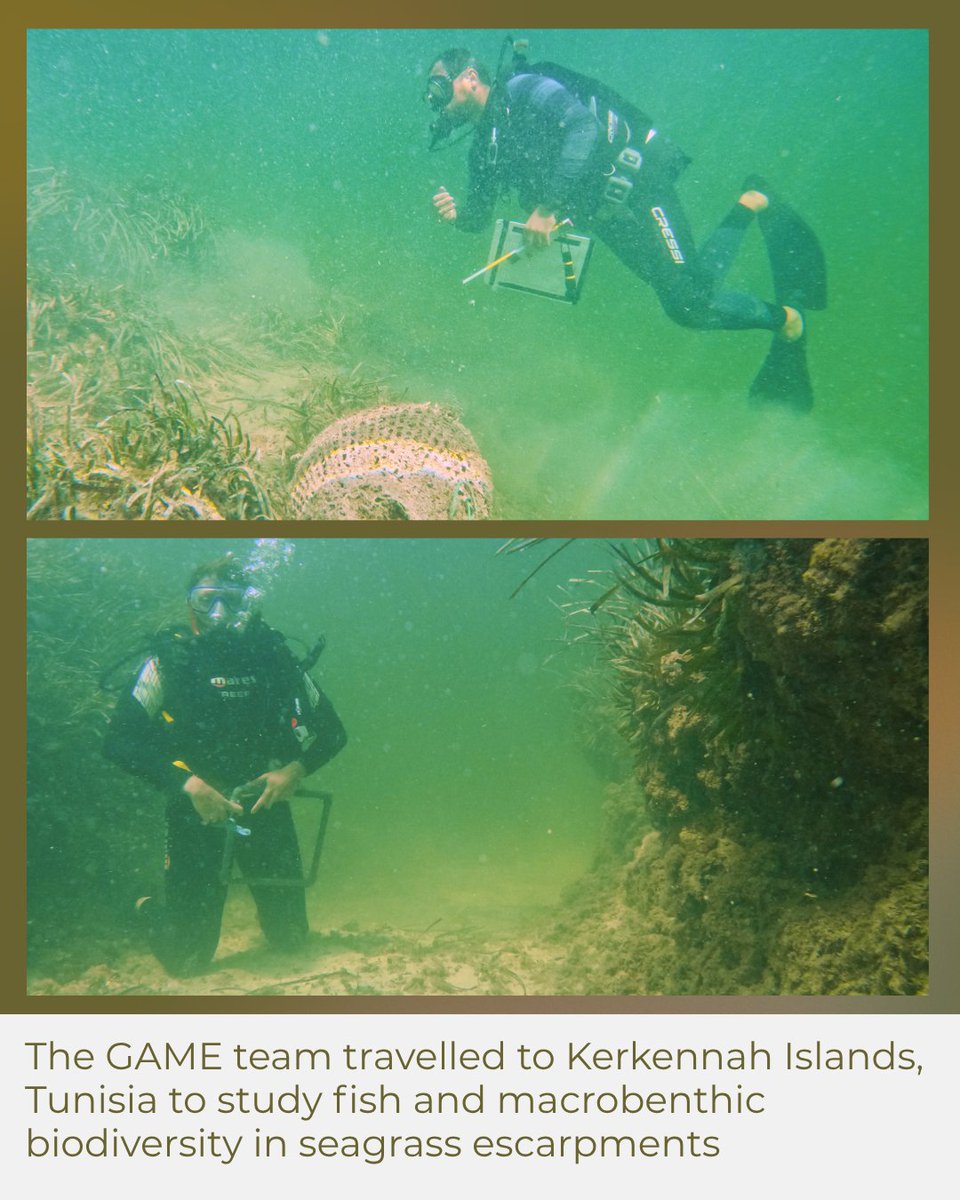 Group of Aquatic Macrophyte Ecology tweet media