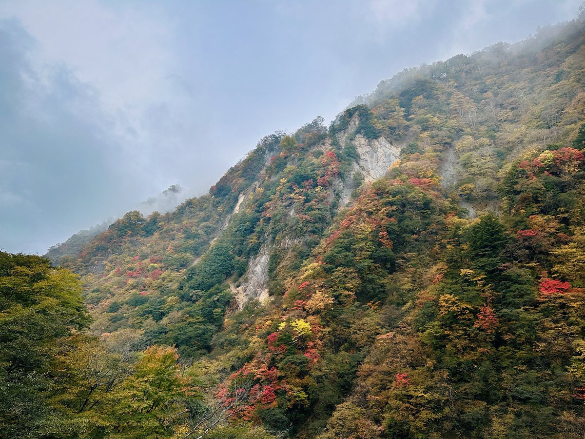 ferdalangurinn tweet media