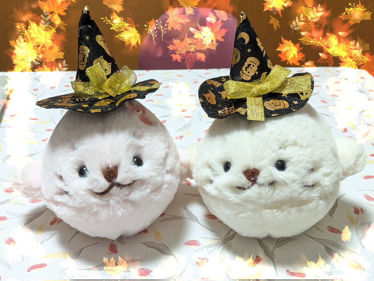 しろたんです。① たんたんしろたん on X