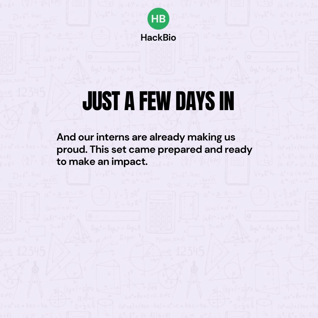 TheHackbio's tweet image. It&apos;s been only 3 days into this program… and you can already tell this cohort of interns came ready

Ready to learn
Ready to show up
Ready to grow beyond what they thought they knew

The energy is different this time.
If you’re part of this set, just know—we see you
#Hackbio