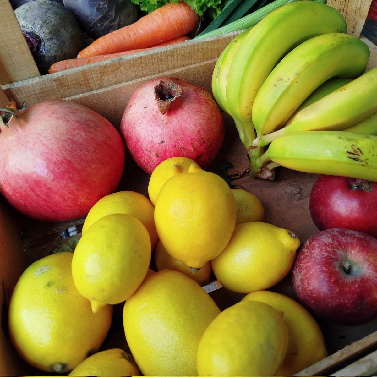 GoztepeKoop's tweet image. Narlar, muzlar, elmalar, ekşi limonlar lezzet dolu meyveler, sebzeler, miss gibi yeşillikler, kooperatifte 💚💙

#göztepekoop #kooperatif #kooperatifçilik #dayanışma #tazesebzemeyve #gıdahakkı #gıdaegemenliği #yaşamıbirlikteörgütlüyoruz