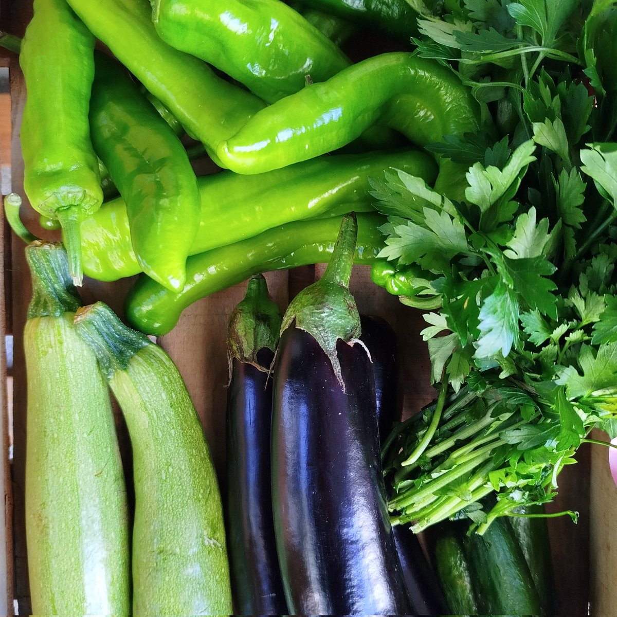 GoztepeKoop's tweet image. Narlar, muzlar, elmalar, ekşi limonlar lezzet dolu meyveler, sebzeler, miss gibi yeşillikler, kooperatifte 💚💙

#göztepekoop #kooperatif #kooperatifçilik #dayanışma #tazesebzemeyve #gıdahakkı #gıdaegemenliği #yaşamıbirlikteörgütlüyoruz