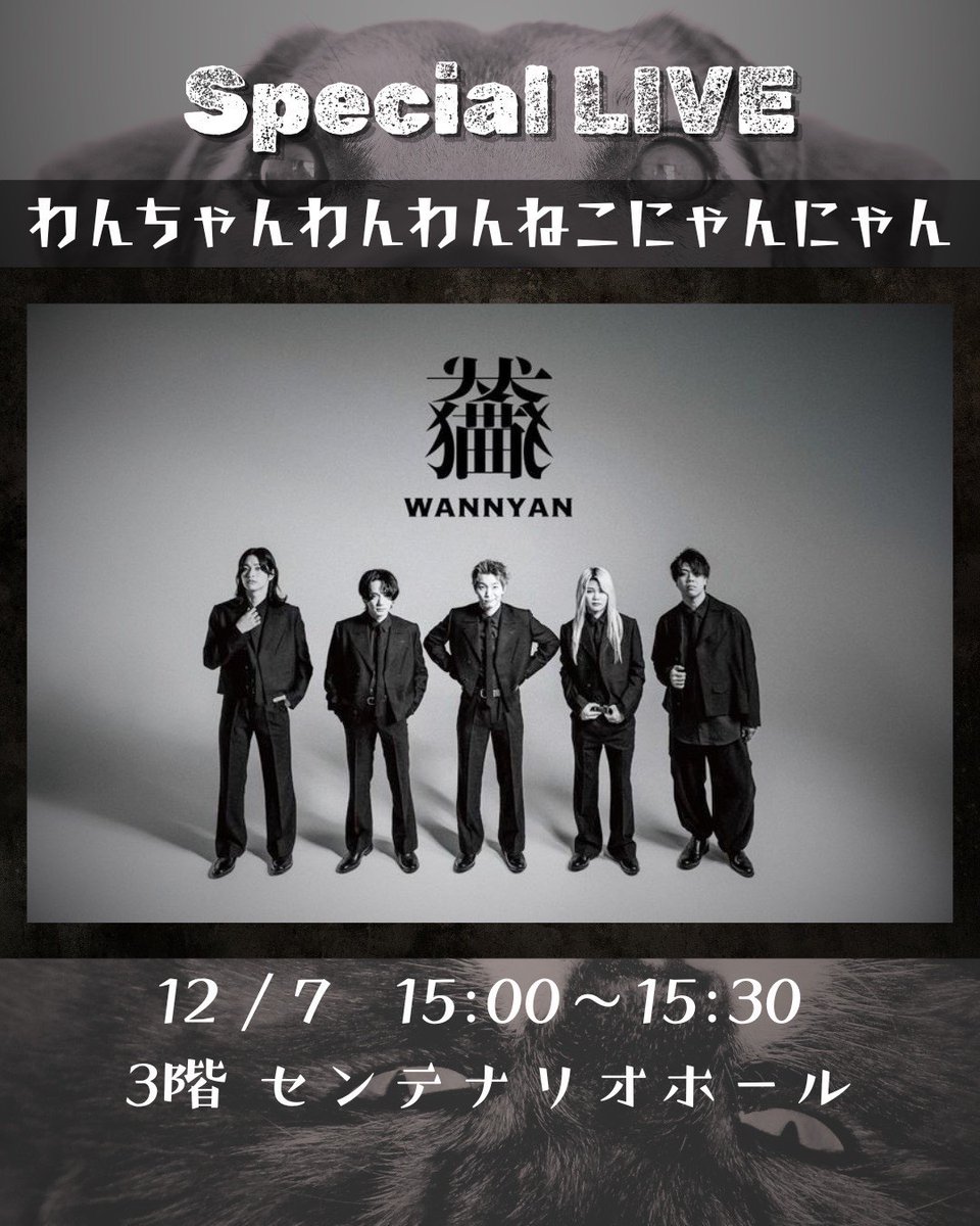 わんちゃんわんわんねこにゃんにゃん on X