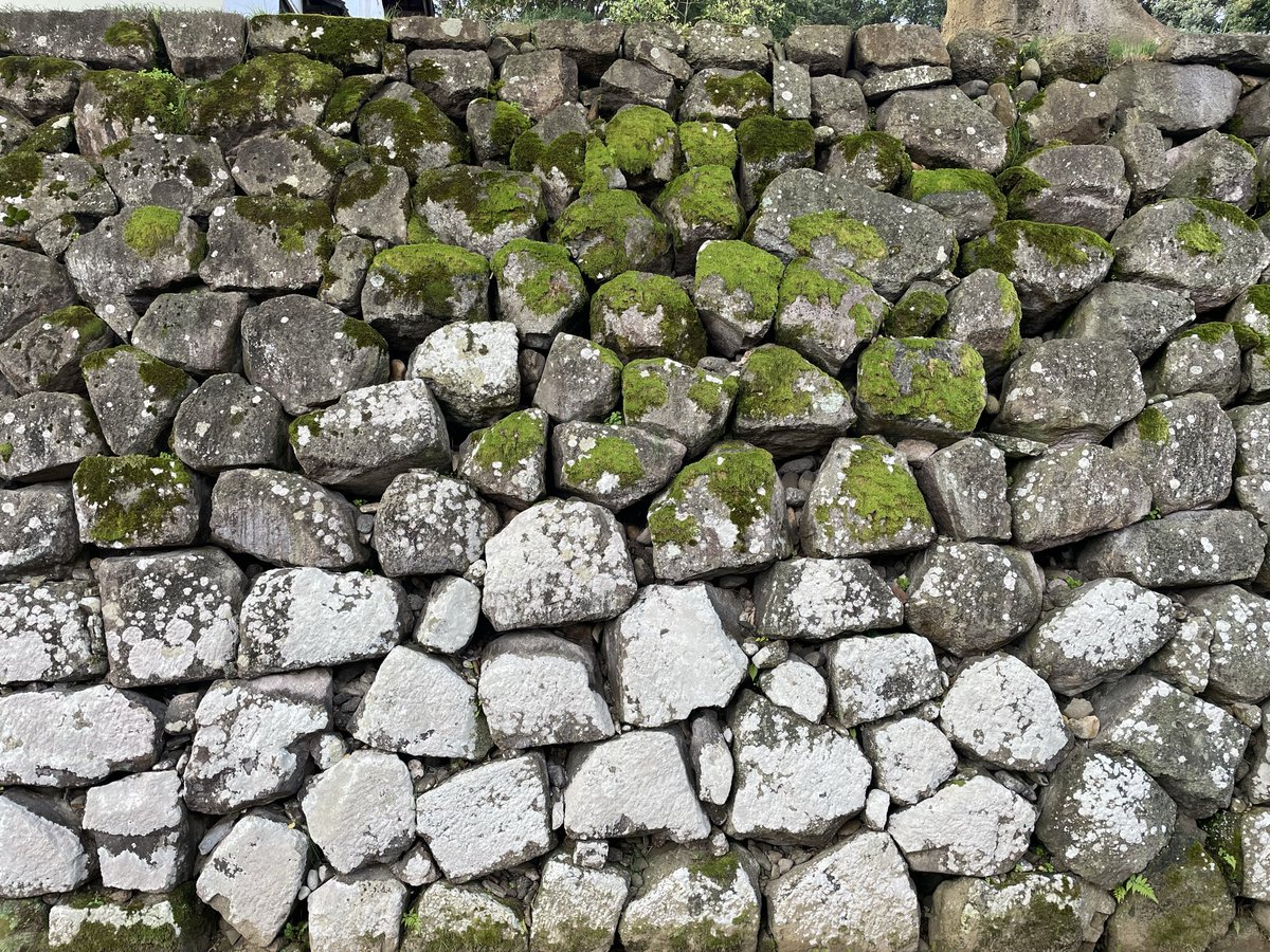 #金沢城🏯を攻めてきた！
朝駆けで城ランしながら昨日は行けなかったところを駆けてきた💨
丑寅櫓跡の石垣好きやなぁーーかっこいいぜ‼️
海鼠壁の門、塀、櫓。ザッ金沢城🏯✨
今回再発見した、鶴丸倉庫下の石垣の緑と白の苔模様が好き✨
美しい🤩