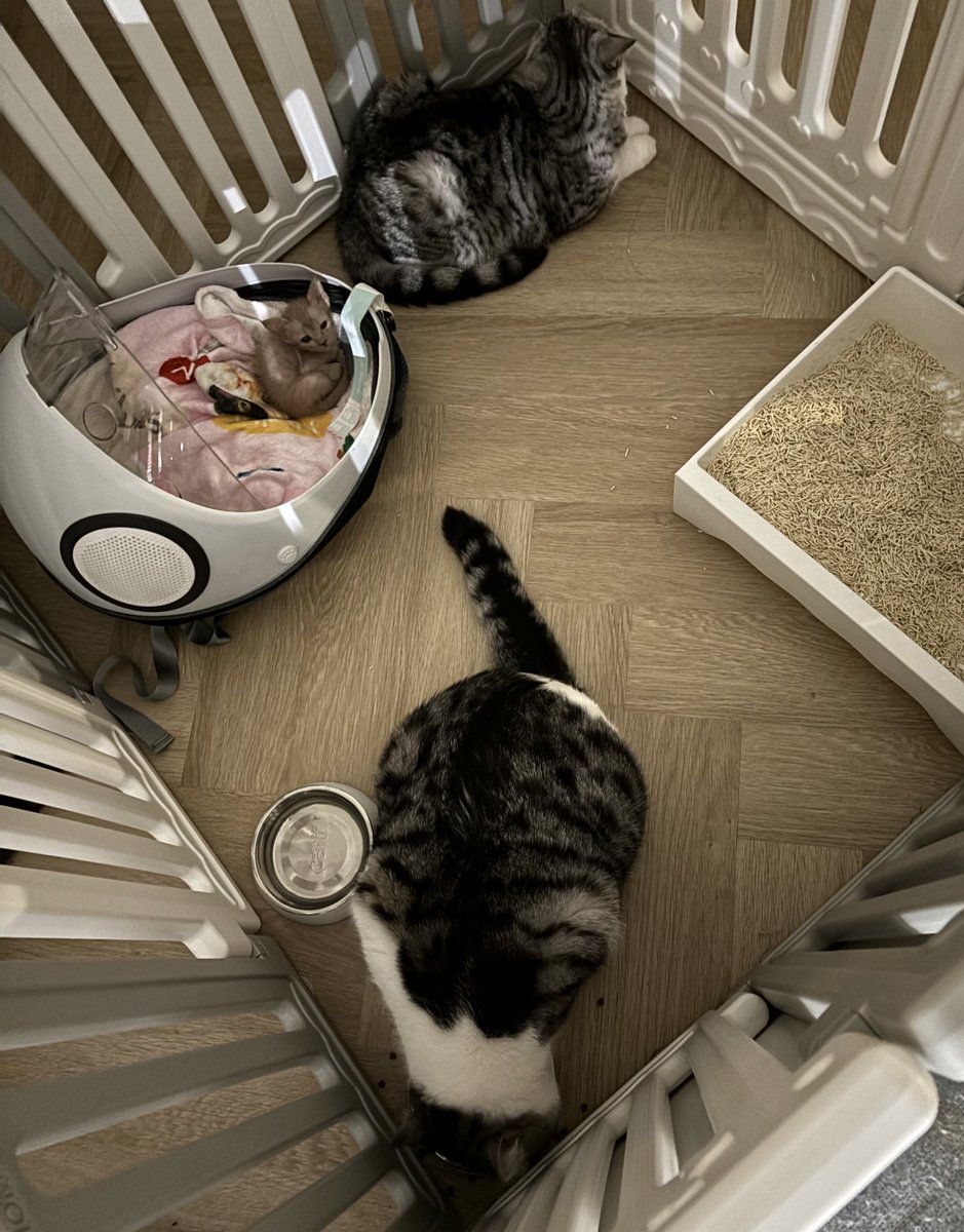 “พี่ชิมมาแล้วทุกรุ่น รุ่นแกก็อย่าบ่นมารีน!!” - เด็กชายมาม่อน