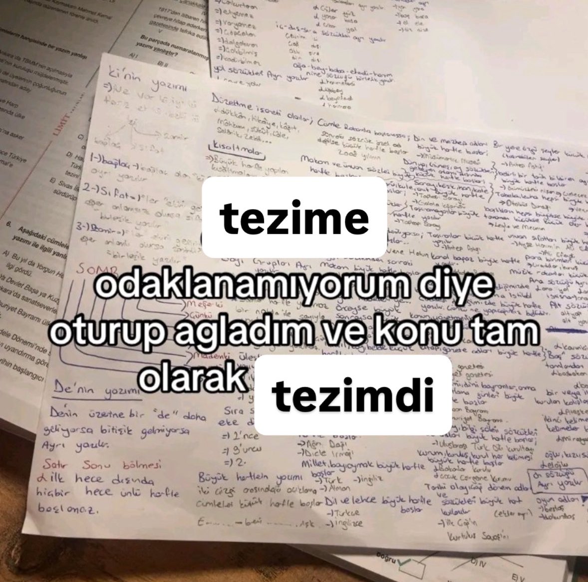 Academic Adventure (@academicadvent3) on Twitter photo 