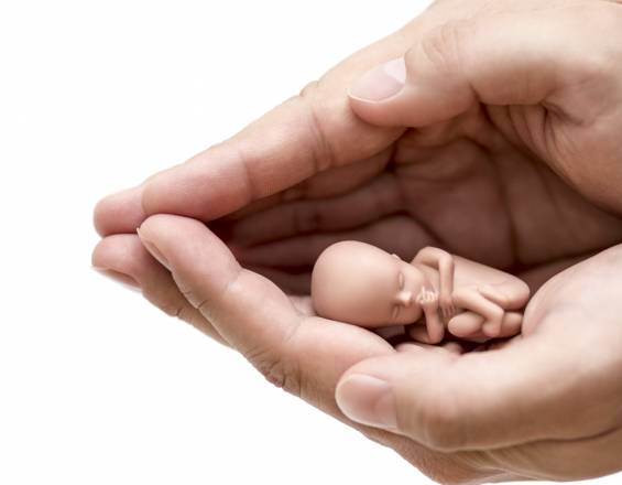 lufercolo's tweet photo. La cumbre del aborto no es sobre salud, es sobre imponer una ideología de muerte. ¡No estamos de acuerdo! #CumbreAbortistaNo @CarlosFGalan https://t.co/TxiUNwAZTm