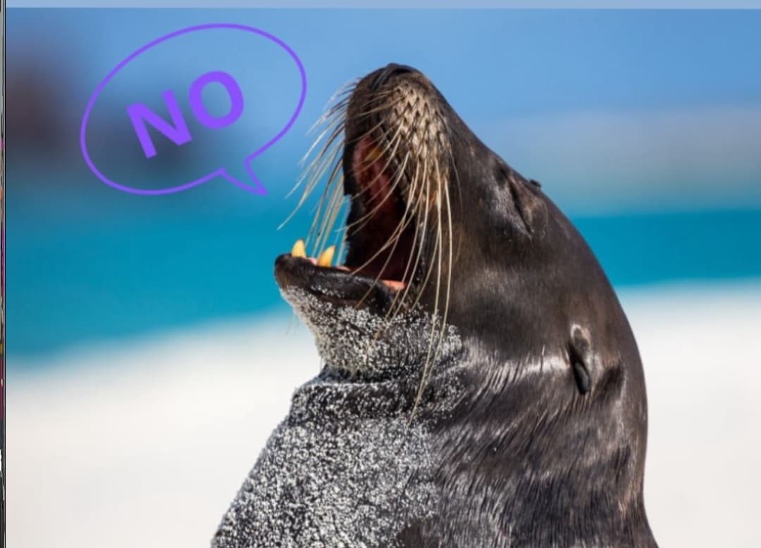 #GalapagosNOseToca
#KimsakochaNOsetoca 

Por los derechos de la naturaleza
Por los derechos de participación
Por la protección de ecosistemas frágiles y amenazados como los páramos y nuestro paraíso insular, 
#NO