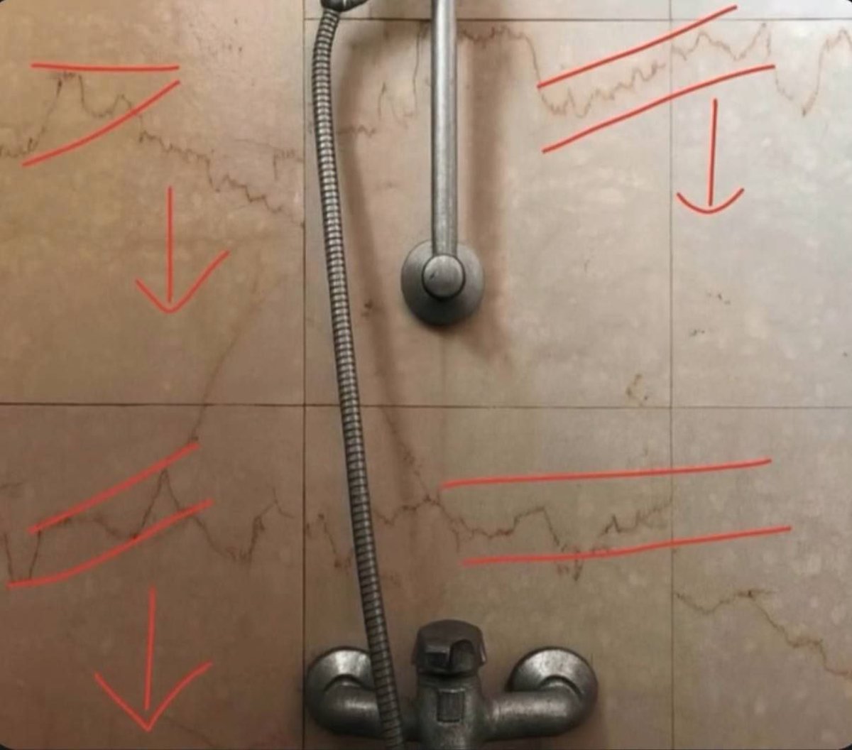 gm gang , this is not normal ... 😭