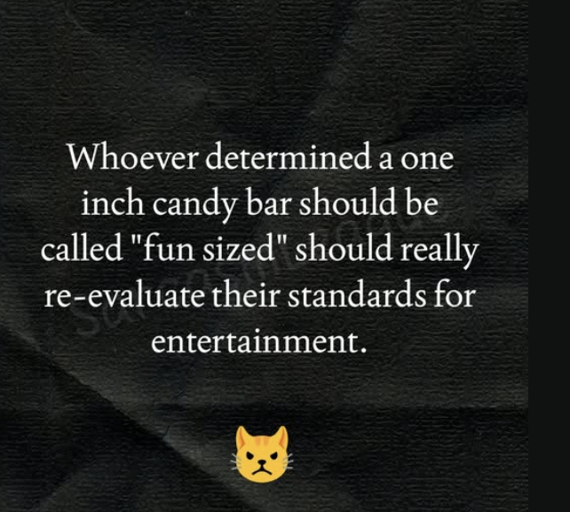 Good Morning Wednesday!