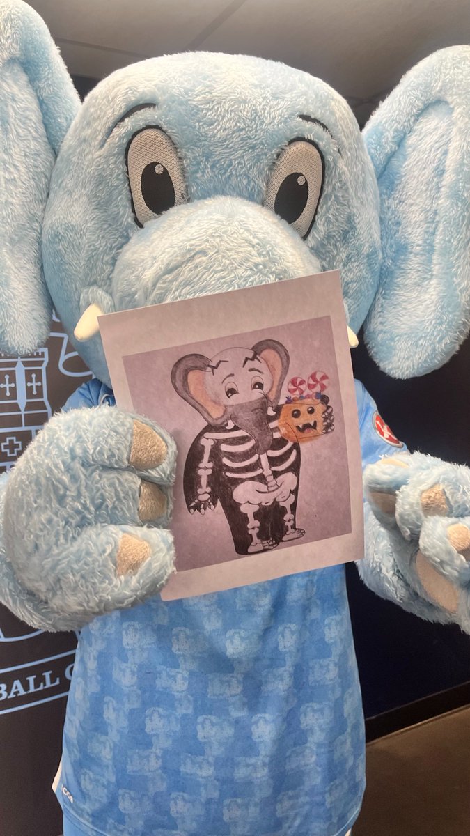 Sky Blue Sam tweet media