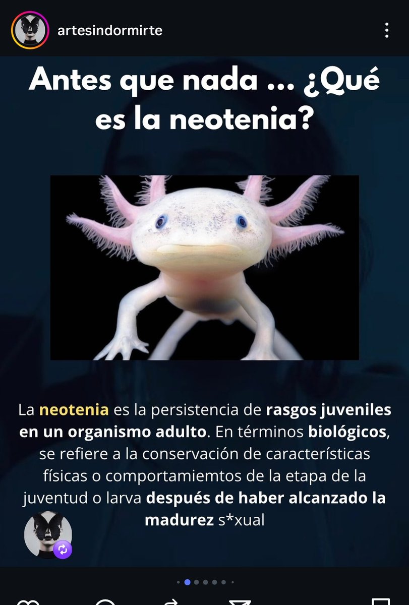 Los posts de <a href="/Artesindormirte/">Arte sin dormirte</a> siempre me ponen a pensar tanto de tan buena manera que hasta me dan ganas de hacer una maestría nomás para ver si puedo divulgar así de bonito.