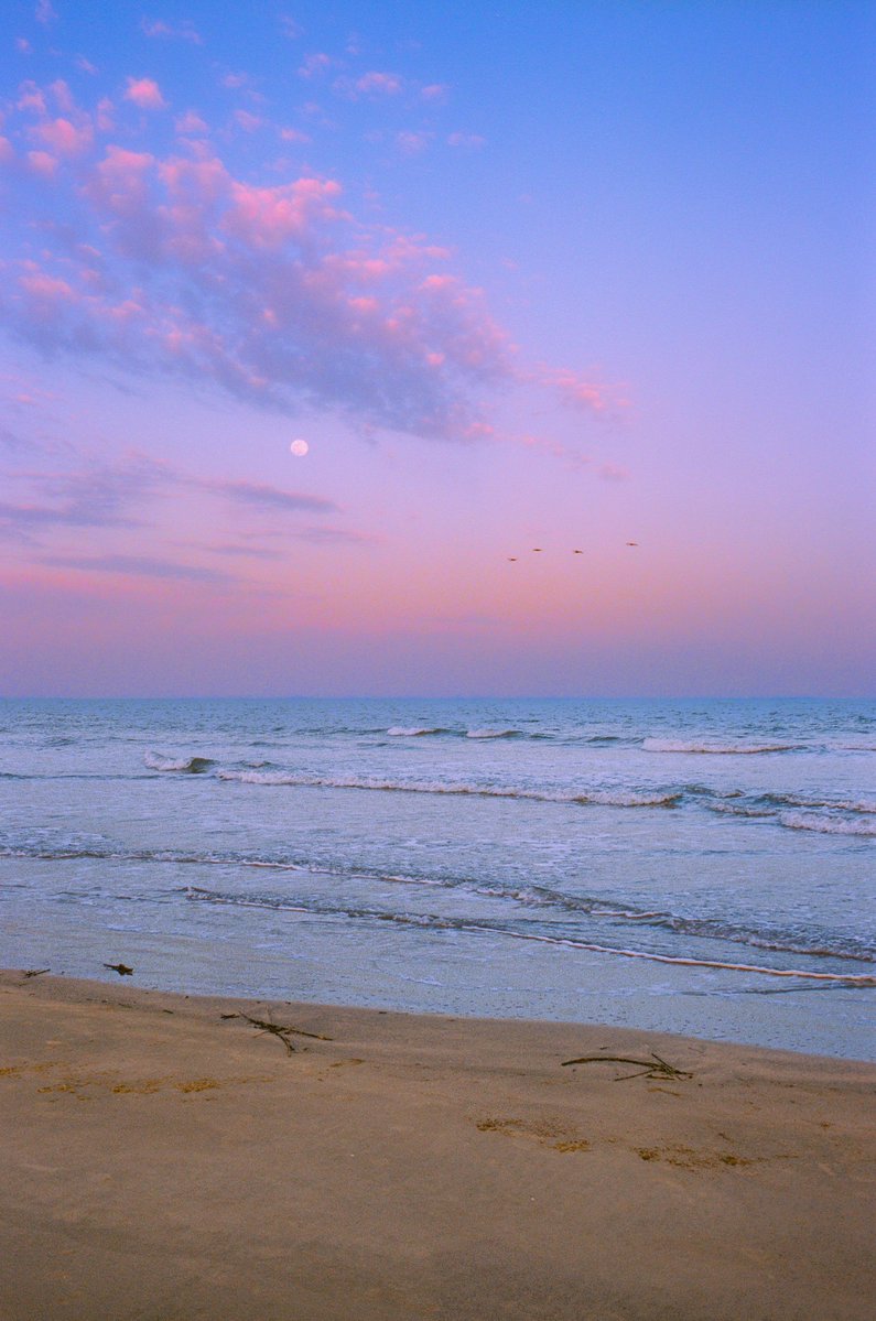 AlexKittoe's tweet image. Colors of the coast on 35mm 🎞️