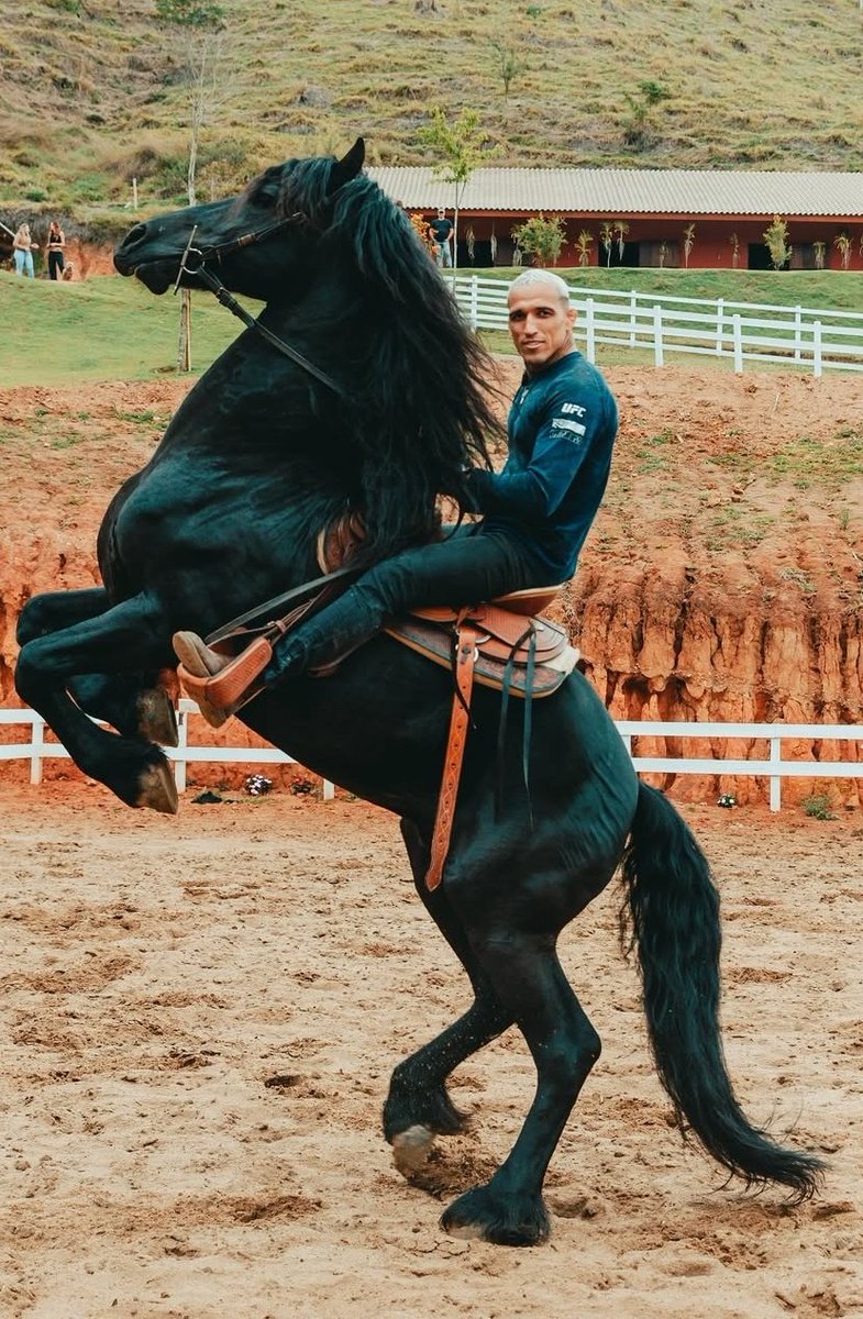 house on the hill Bodysuit (Brown Horse)