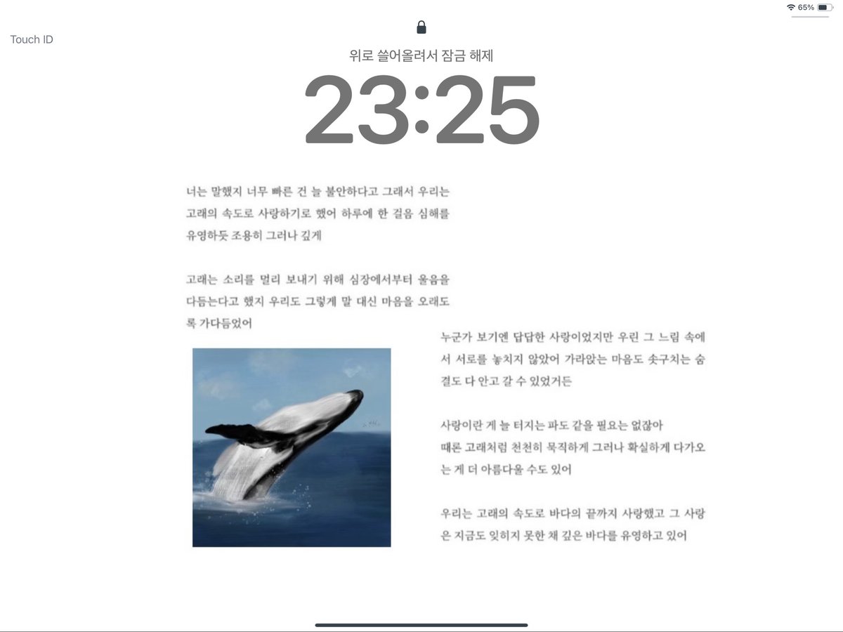 패드 새로 산 기념 배경 바꾸기🐋