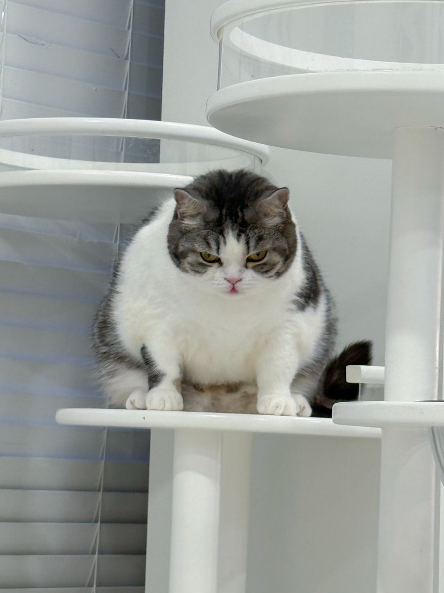 แค้นมากก โดนยายบ่นเพราะจะแย่งข้าวน้อง