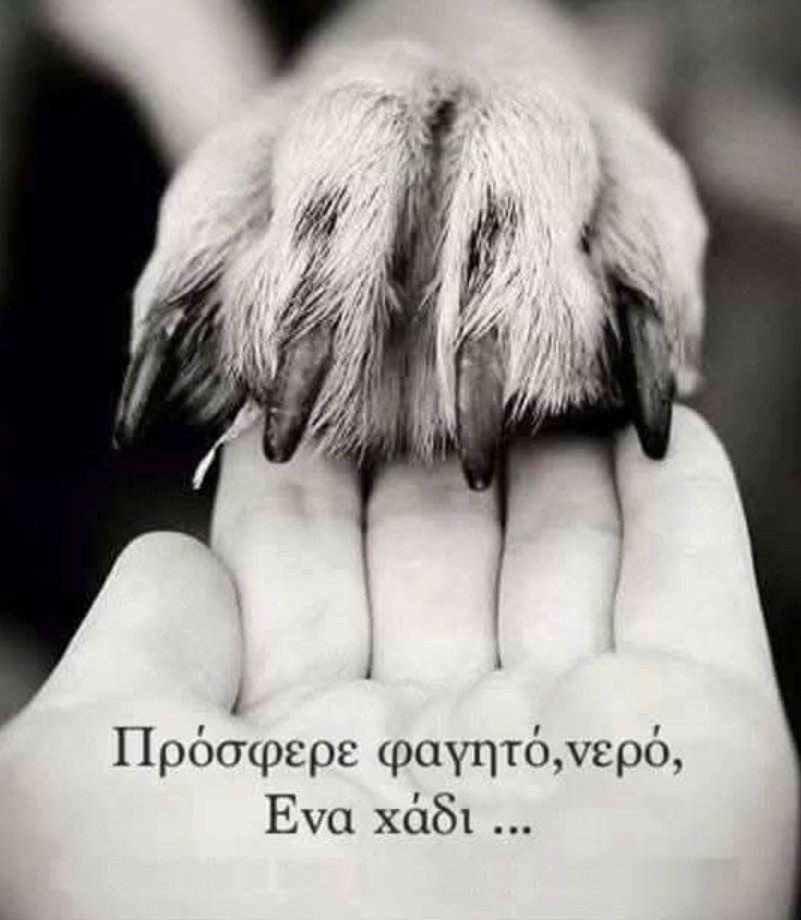 Να τα αγαπάμε 🙏🦮😾
Εμάς έχουν μόνο.🐕🐈‍⬛😿