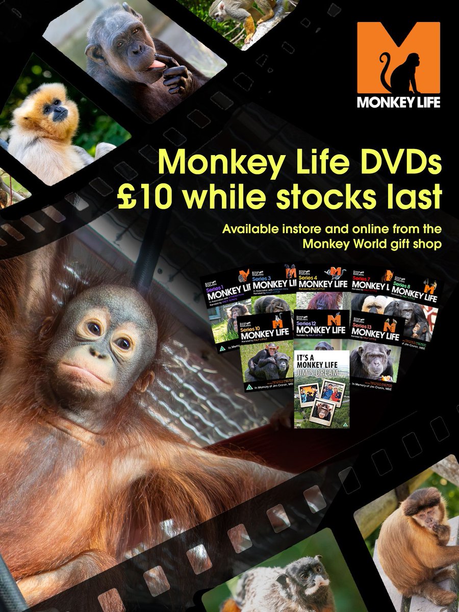 Monkey Life DVD sale is still on- grab a bargain! Available series are just £10. Visit the giftshop on our website to purchase!