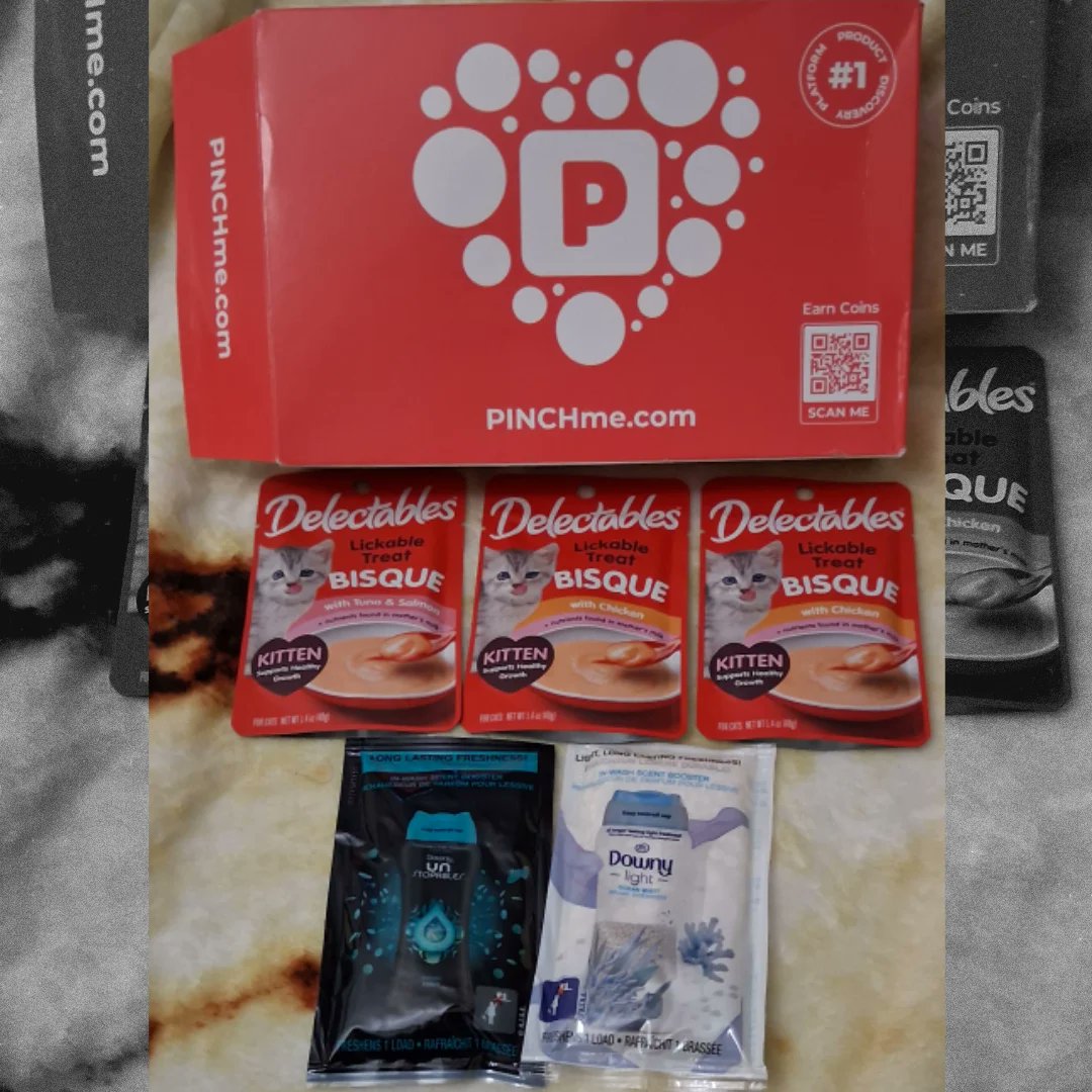 KillianMajere's tweet image. Thank you, @pinchme @Downy #delectablescattreats

#pinchme #pinchmebox #downy #delectables #freesamples #freeproducts