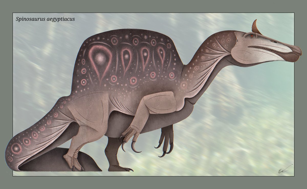 Wachirawit96111's tweet image. Somebody get me through this nightmare
I can&apos;t control myself !

#paleoart #spinosaurus #dinosaur
