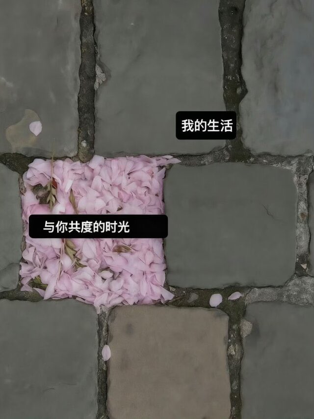 文艺负星🌟 tweet media