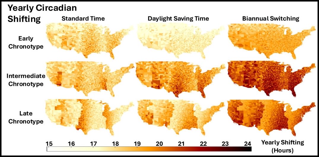LaraWeed's tweet image. If we ditch switching time policies, should we switch to permanent Standard Time or permanent Daylight Saving Time?

Our work suggests that both permanent time policies reduce circadian burden, but Standard Time reduces that burden more