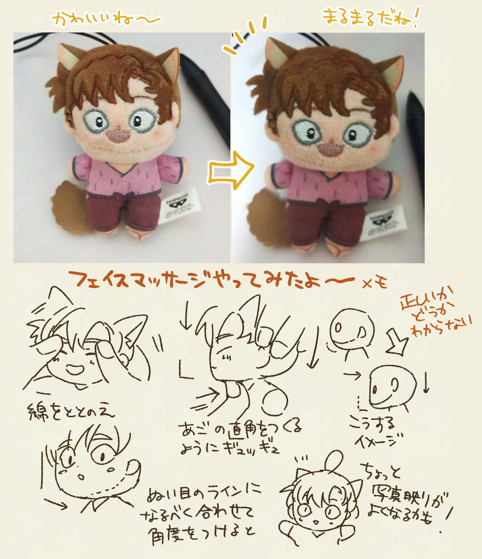 ほわねこちゃん届いた！めんこいのう～まるいの～
噂のフェイスマッサージをこうかな…？とやってみたのでメモだよ　あまりにも綿パンパンな子は手術が必要かもしれん…（パンパンもかわいいね）